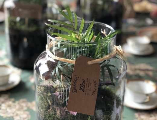 Atelier terrarium Atelier terrarium