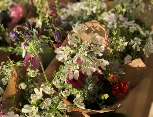 Création florale Création florale
